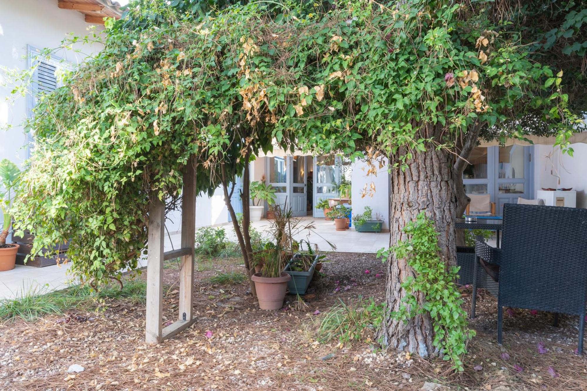 Ananke Home Lefkoşa Dış mekan fotoğraf