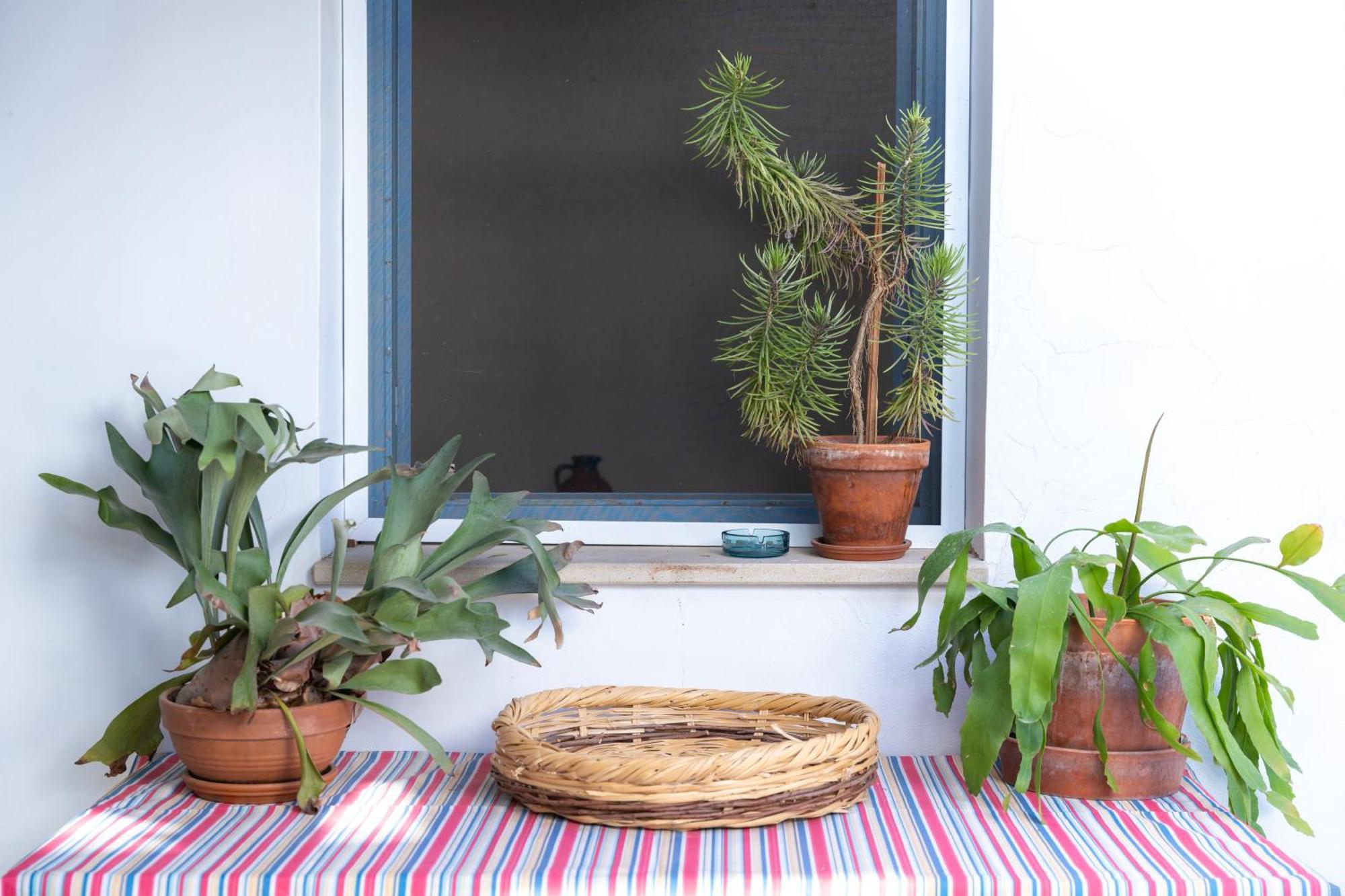 Ananke Home Lefkoşa Dış mekan fotoğraf